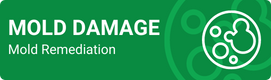 Mold-damage-remediation-services